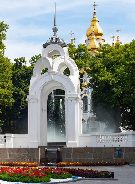 ミラーストリーム噴水公園で花や緑の木 背景にハリコフのミラーベアリング寺院 ウクライナ — ストック写真