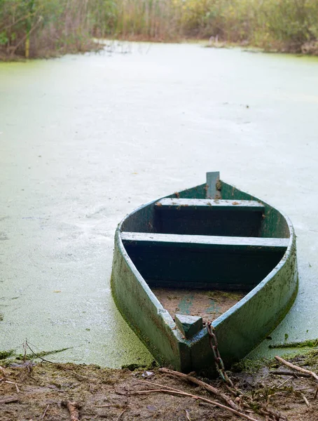 Oude Boot Bij Een Moeras Bij Zonsondergang Oekraïne — Stockfoto