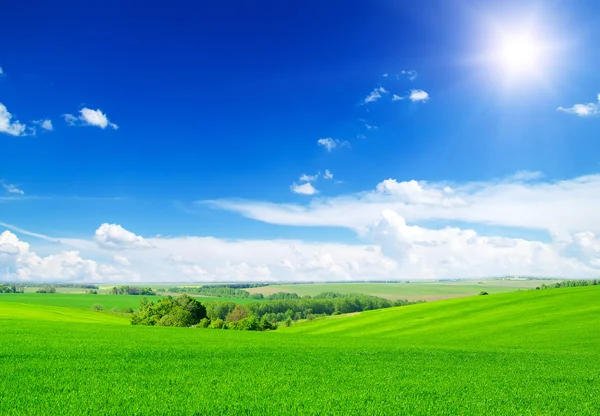 Campo verde e céu azul — Fotografia de Stock