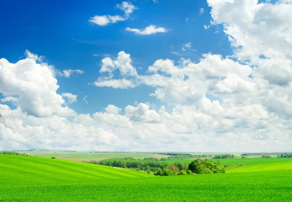 Campo verde y cielo azul —  Fotos de Stock