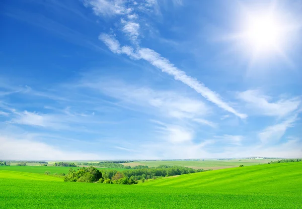 Campo verde e céu azul — Fotografia de Stock