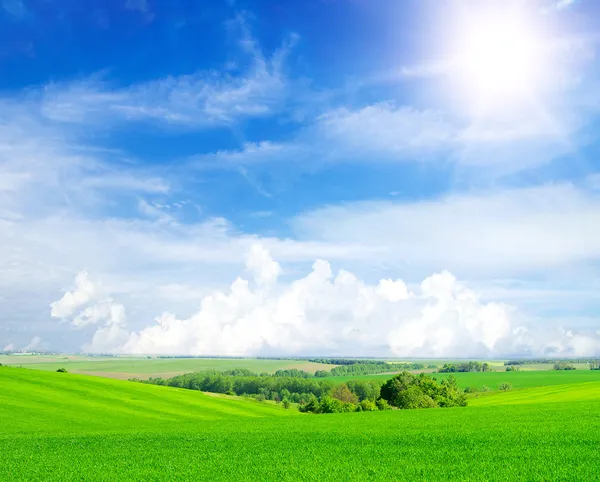 Grüne Wiese und blauer Himmel — Stockfoto