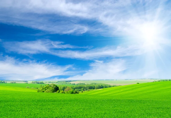 緑の野と青い空 — ストック写真