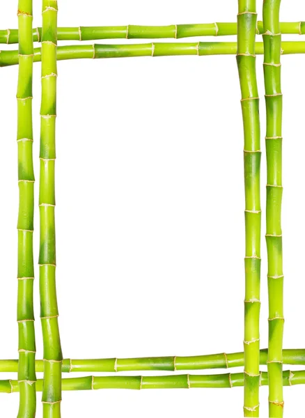 Bamboo frame — Stock Photo, Image