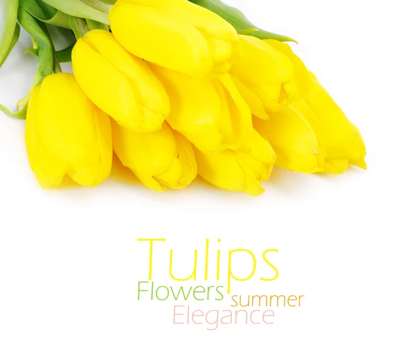 Tulipas — Fotografia de Stock