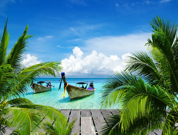 Tropical sea — Stock Photo, Image