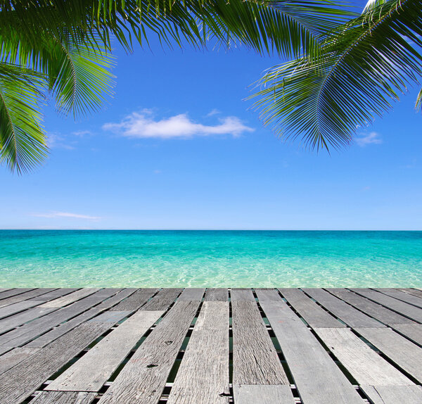 beach and tropical sea