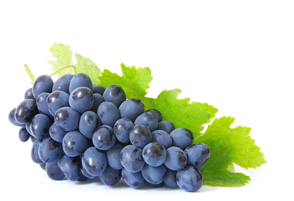 Uvas — Fotografia de Stock