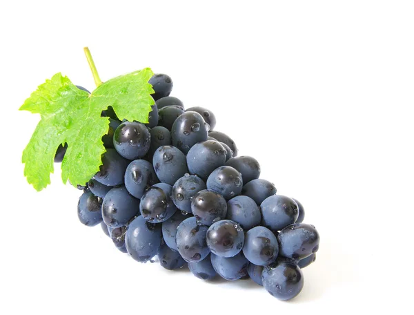 Uvas — Foto de Stock