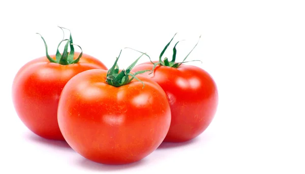 Tomate auf Weiß — Stockfoto