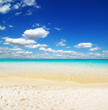 tropik deniz