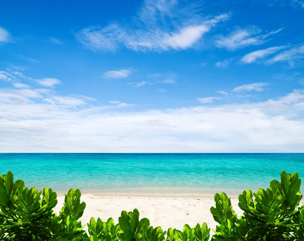 Playa y mar tropical — Foto de Stock