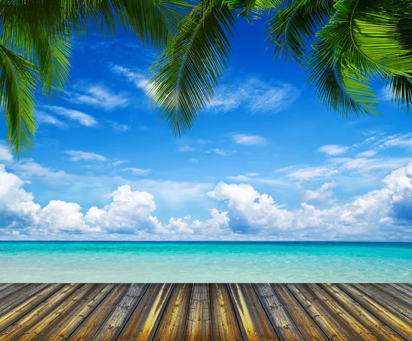 Tropical sea — Stock Photo, Image