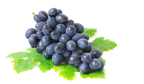 Uvas — Fotografia de Stock