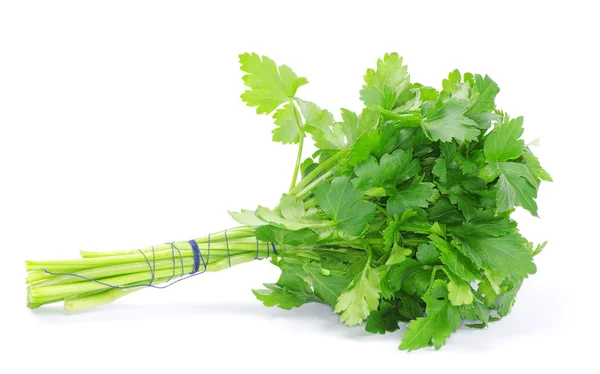 Parsley — Stock Photo, Image