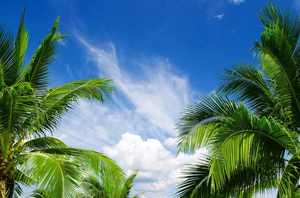 Céu azul — Fotografia de Stock