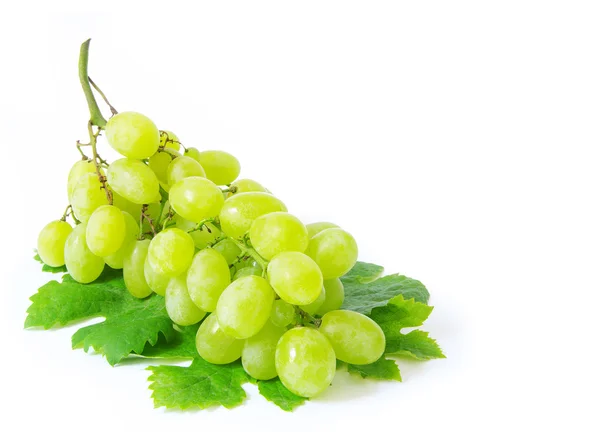 Grape — Stock Photo, Image