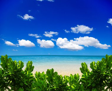Deniz