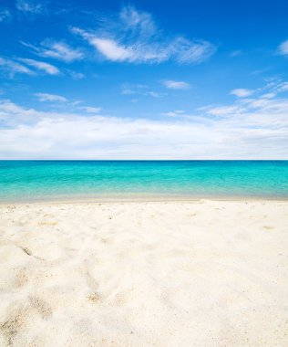 tropik deniz