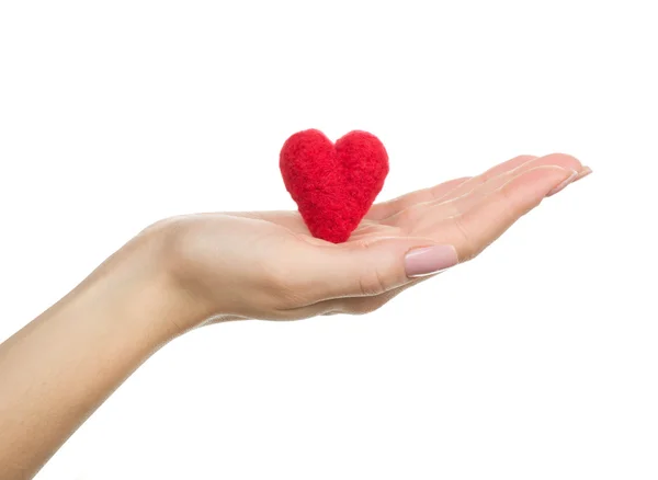 Hand holding the heart — Stock Photo, Image