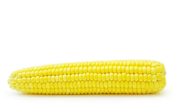 Maize — Stock Photo, Image