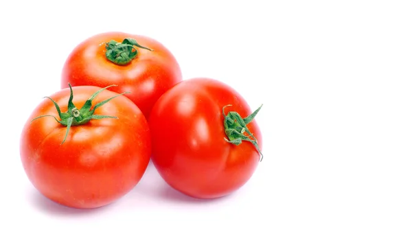 Tomate — Fotografia de Stock