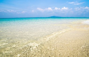 tropik deniz