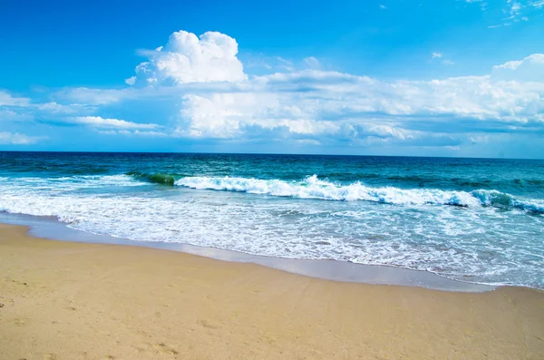 Tropiska havet — Stockfoto