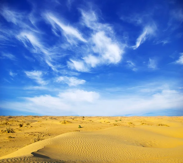 沙漠景观 — 图库照片