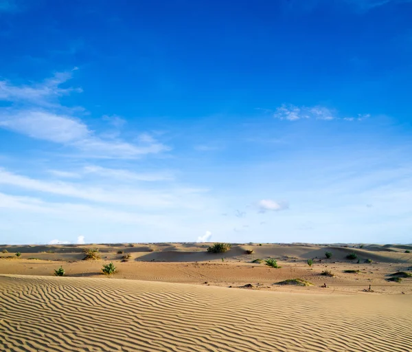 Paisagem do deserto — Fotografia de Stock