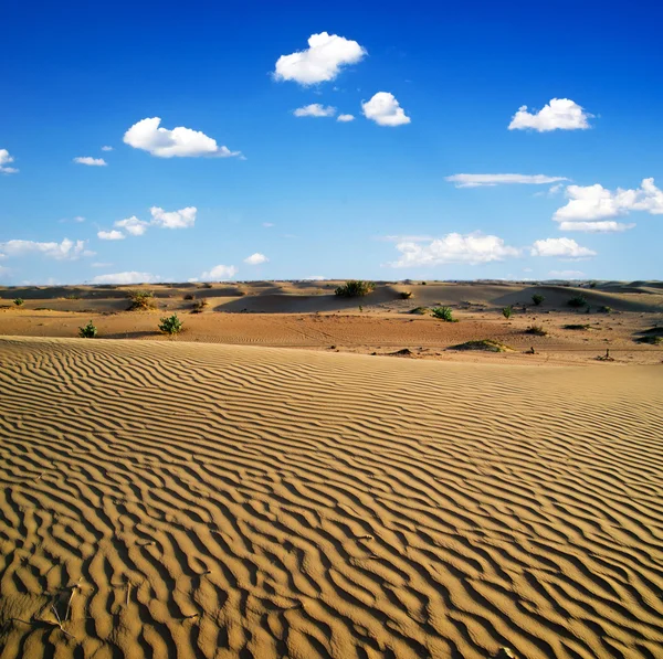 Paysage désertique — Photo