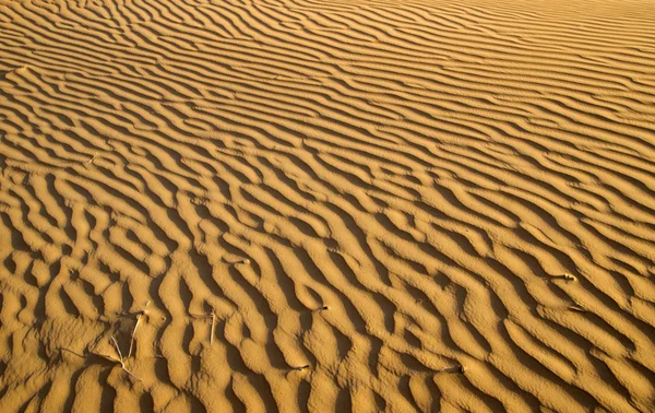 Coral sand — Stock Photo, Image