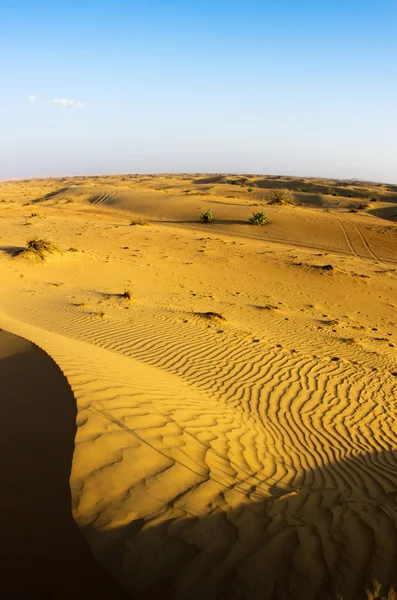 Deserto — Fotografia de Stock