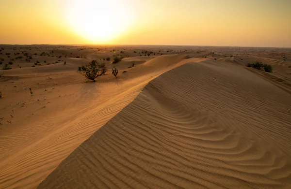 Desierto —  Fotos de Stock