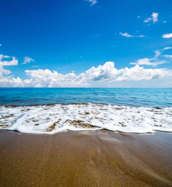 Mare tropicale — Foto Stock