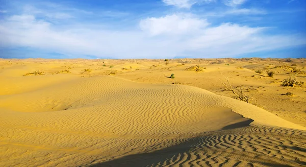 Paisagem do deserto — Fotografia de Stock