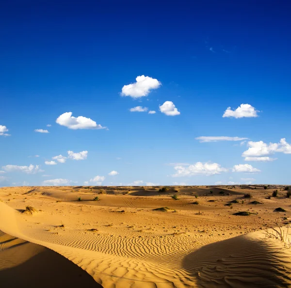 Paisagem do deserto — Fotografia de Stock