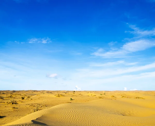 Paisagem do deserto — Fotografia de Stock