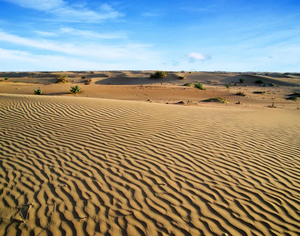 Paesaggio desertico — Foto Stock