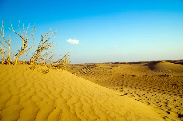 Wüstenlandschaft — Stockfoto