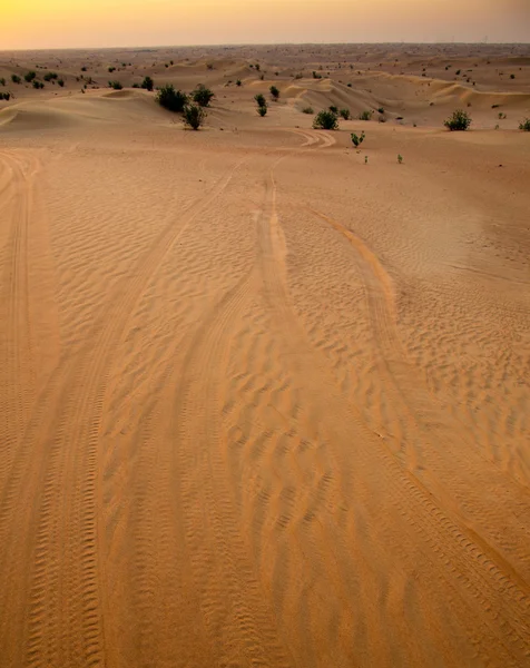 Desierto —  Fotos de Stock