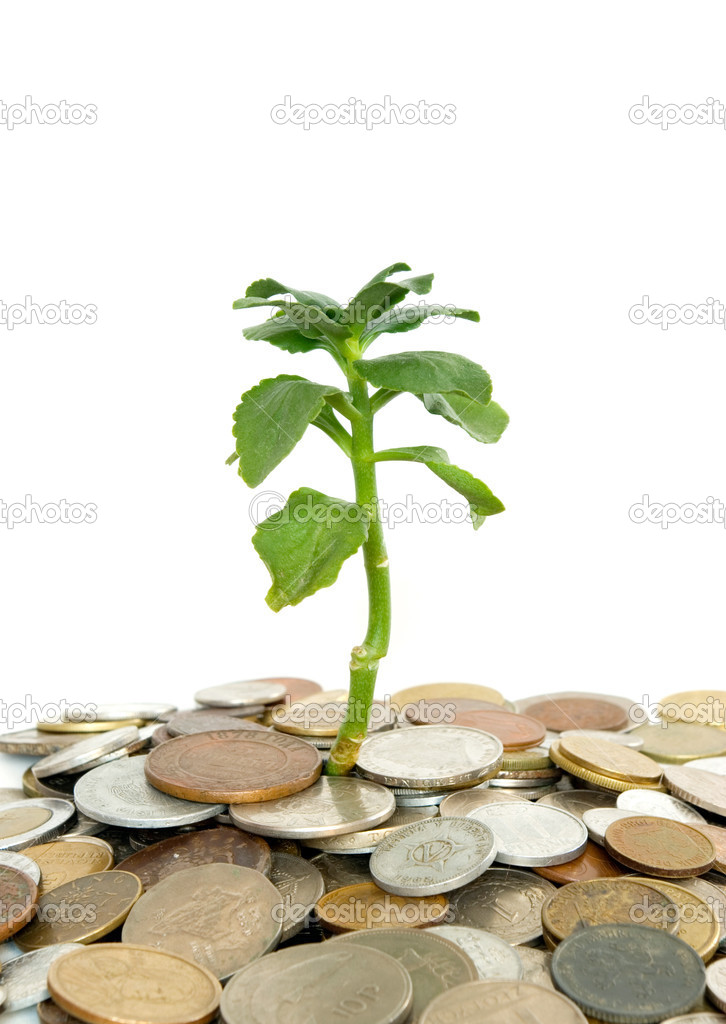 plant and coins