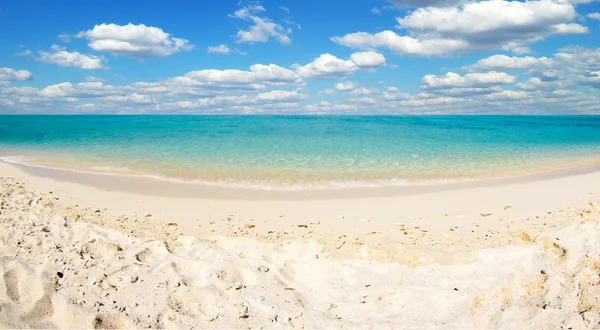 Mare tropicale — Foto Stock