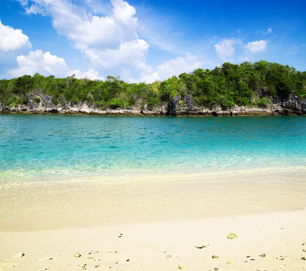 Tropik deniz — Stok fotoğraf