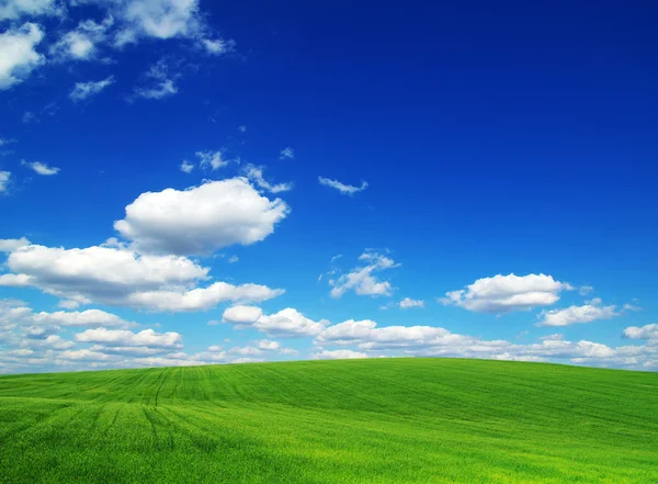 Green field — Stock Photo, Image