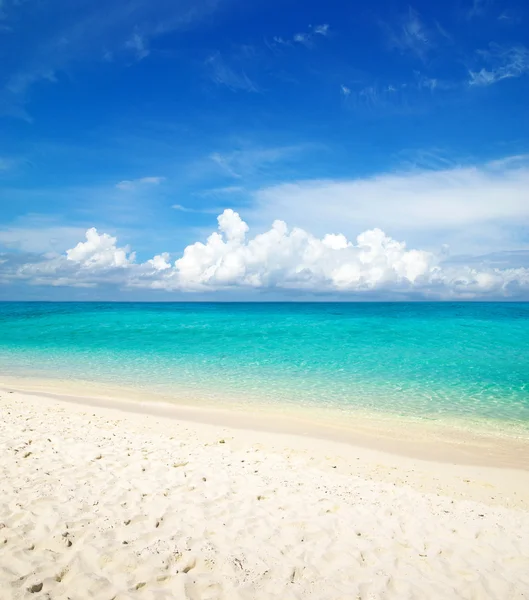 Praia e mar tropical — Fotografia de Stock