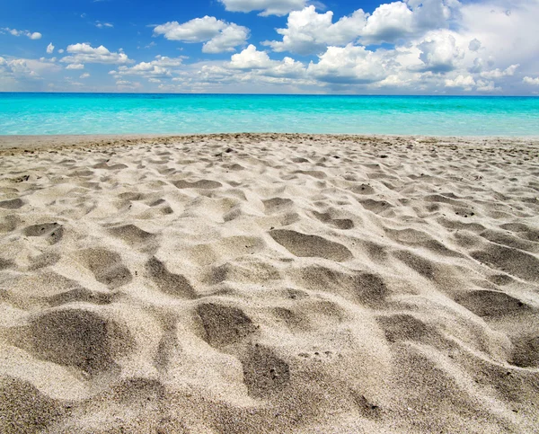 Mare tropicale — Foto Stock