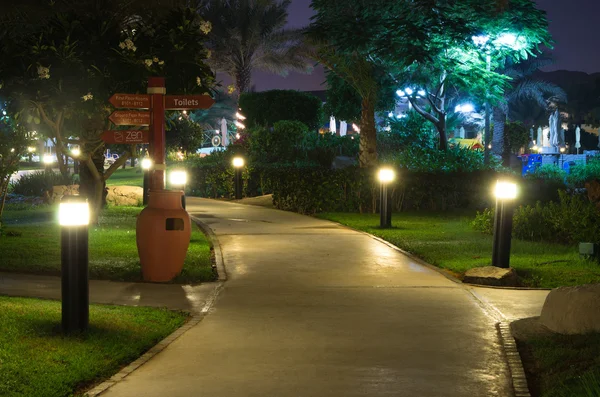 Jardín por la noche — Foto de Stock