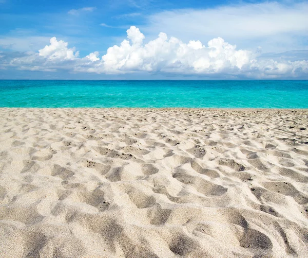 Beach and tropical sea Stock Picture