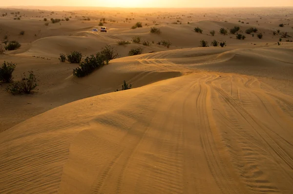 Paisagem do deserto — Fotografia de Stock